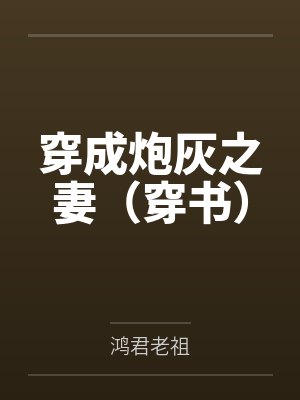 陆云妆吕元亮封面